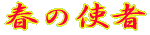 t̎g