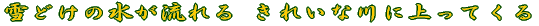 ꂢȐ Ŷ Ă܂B